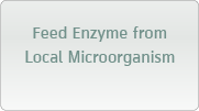 Feed Enzyme from Local Microorganism