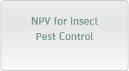 NPV for Insect Pest Control