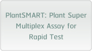PlantSMART: Plant Super Multiplex Assay for Rapid Test