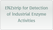ENZstrip for Detection of Industrial Enzyme Activities 