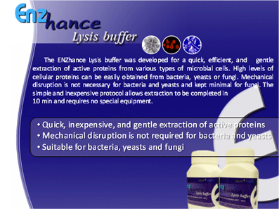 NZhance Cell Lysis Buffer for active protein extraction from bacteria, yeast and fungi