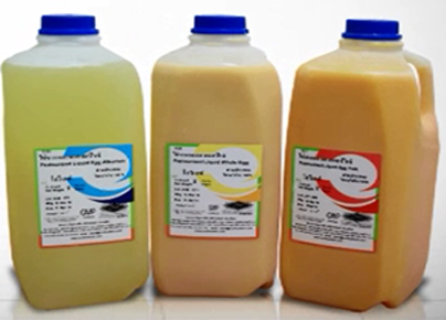 pasteurized liquid eggs