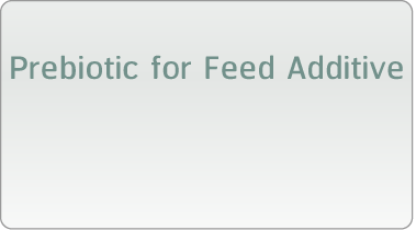 Prebiotic for Feed Additive