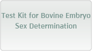 Test kit for bovine Embryo Sex Determination
