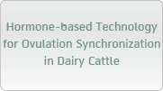 Hormone-based Technology for Ovulation Synchronization in Dairy Cattle