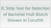 IC Strip Test for Detection of Bacterial Fruit Blotch Disease in Cucurbit