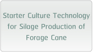 Starter Culture Technology for Silage Production of Forage Cane