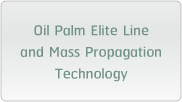 Oil Palm Elite Line and Mass Propagation Technology
