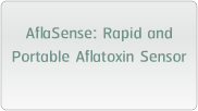 AflaSense: Rapid and Portable Aflatoxin Sensor