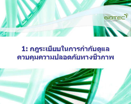 ppt bg Page 002