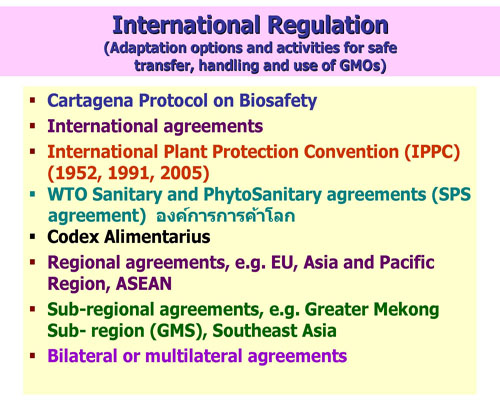 ppt bg Page 002