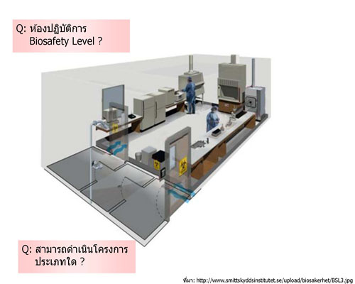ppt bg Page 002