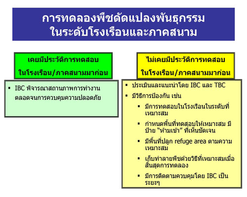 ppt bg Page 002