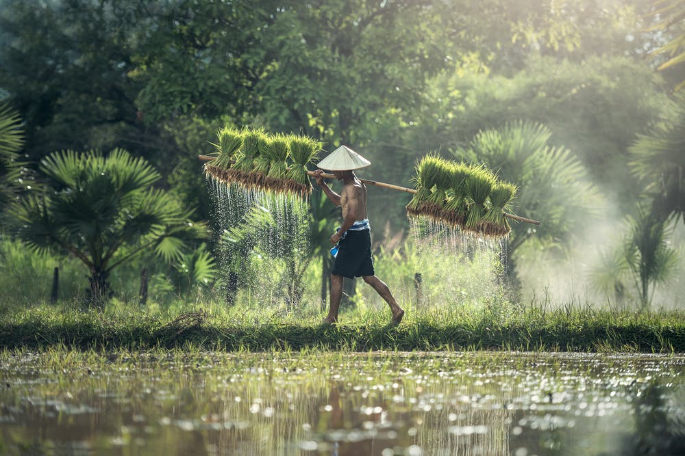 รายการ ชาววิทย์ ชิดชาวบ้าน ตอน เทคโนโลยีชีวภาพเพื่อการพัฒนาชนบท พื้นที่ นาแห้ว