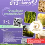 ไบโอเทค ขอเชิญลงทะเบียนเข้าร่วมงานและส่งผลงานวิชาการ “การประชุมวิชาการข้าวแห่งชาติ ครั้งที่ 6 : ข้าวเปลี่ยนวิถี อาหารเปลี่ยนโลก” 5 - 6 ธันวาคม 2568