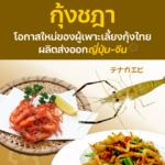 ‘กุ้งชฎา’ โอกาสใหม่ของผู้เพาะเลี้ยงกุ้งไทย ผลิตส่งออกญี่ปุ่น–จีน