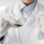 The Final (3rd) Annual Meeting of the NRCT Research Project on “Chemical Research on Thai Mushroom Resources for Their Medicinal Utilization”