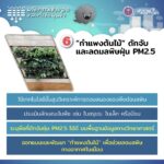 ส่องนวัตกรรม สวทช. "กำแพงต้นไม้" ดักจับ PM2.5 ใช้เมตาโบโลกมิกส์ คัดพืชใบขรุขระ-มีขน ช่วยกรองอากาศ