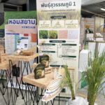 ไบโอเทค สวทช. ร่วมโชว์นวัตกรรมยั่งยืนใน “งานวันข้าวและชาวนาแห่งชาติ ประจำปี 2569”