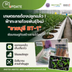 ไบโอเทค สวทช. ยกระดับ “ฟ้าทะลายโจรพันธุ์ราชบุรี BT-1” สารสำคัญสูง ชูเทคโนโลยีโรงงานผลิตพืช ดันสู่พืชเศรษฐกิจมูลค่าสูง