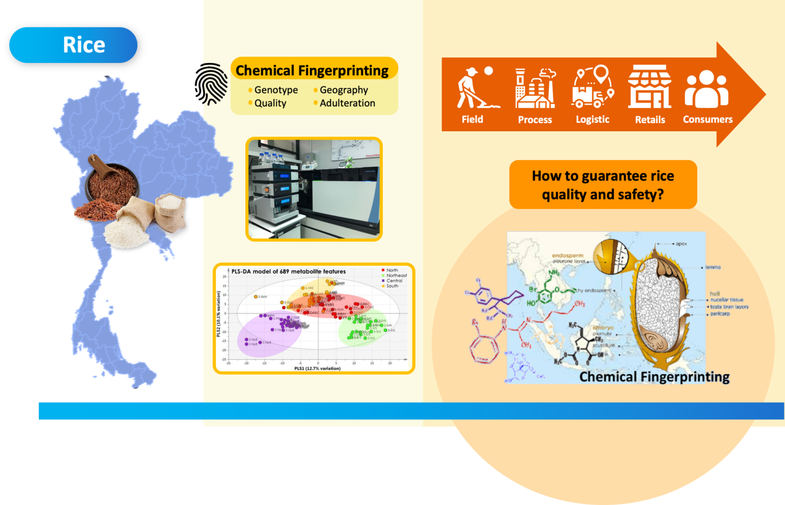 Rice - International Joint Research Center on Food Security